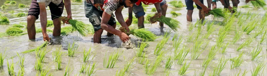 Uri farmers oppose new water supply scheme