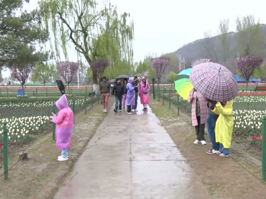 Tourists arrive in large numbers to witness breathtaking beauty of Srinagar’s Tulip Garden